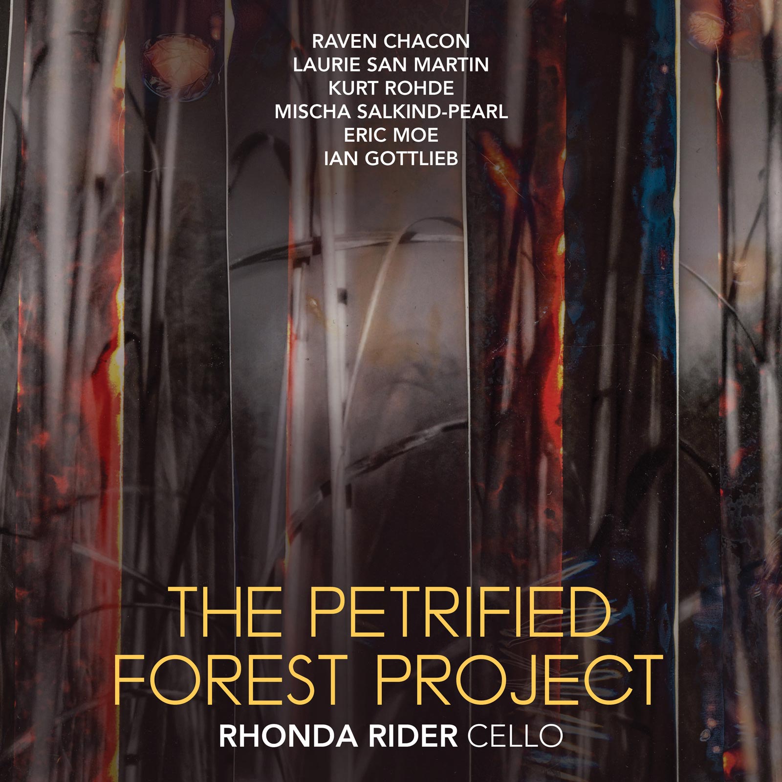 THE PETRIFIED FOREST PROJECT